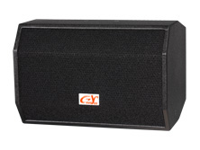 PK-102十寸全频音箱